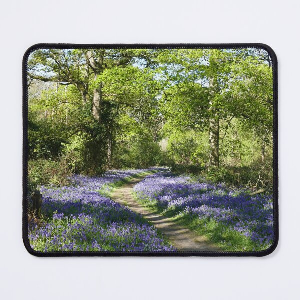 Item preview, Bluebell Woodland designed and sold by Chris Petty.