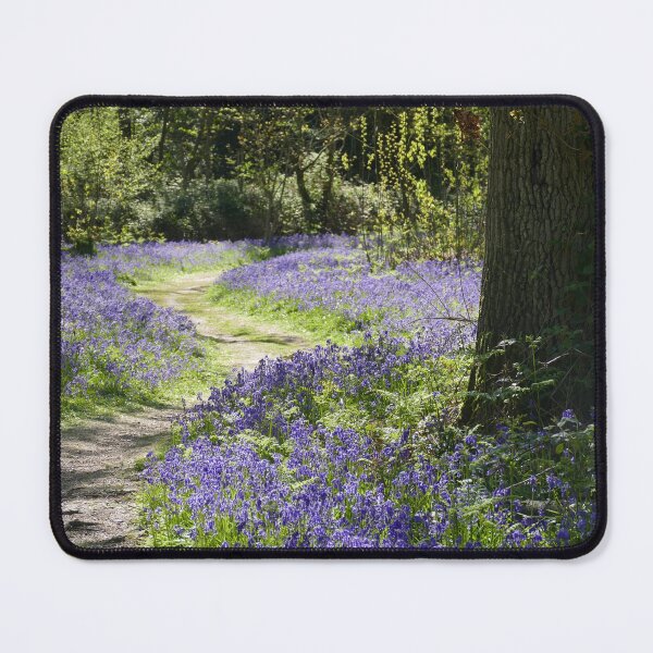 Item preview, Bluebell Woodland designed and sold by Chris Petty.