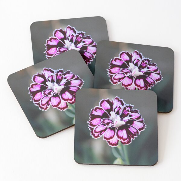 Item preview, Pot Carnation  designed and sold by Cynthia48.