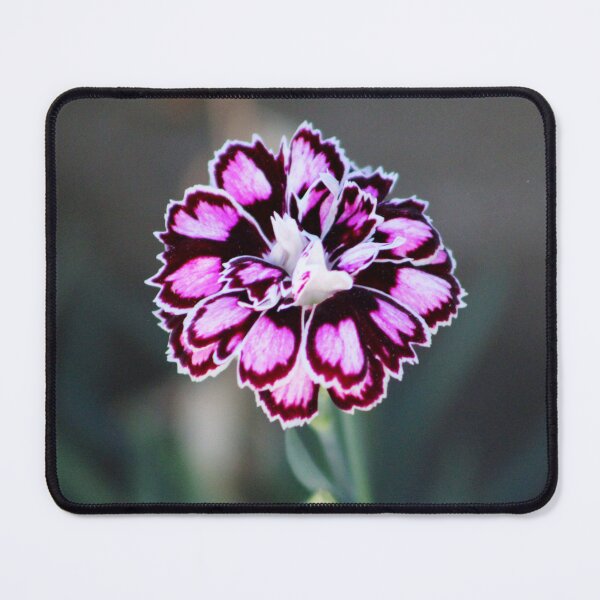 Item preview, Pot Carnation designed and sold by Cynthia48.