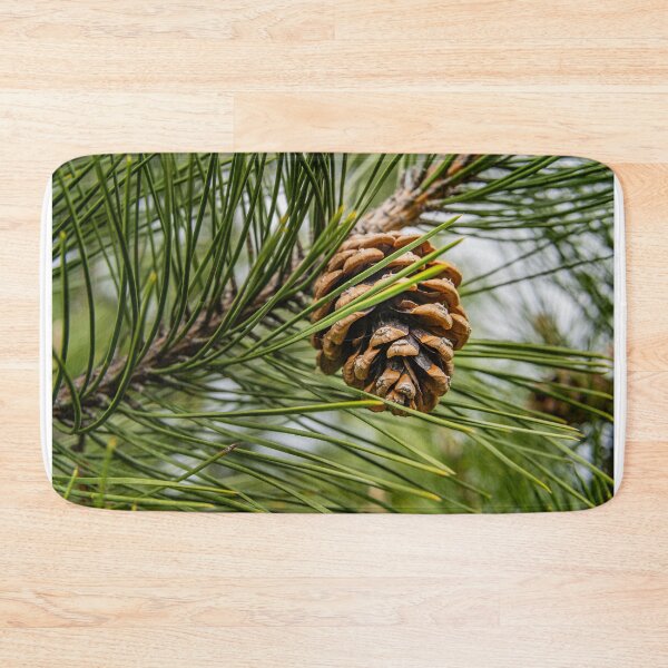 Item preview, Forest Detail — Pine Cone and Needles Up Close designed and sold by Rabee Khalil Photography.