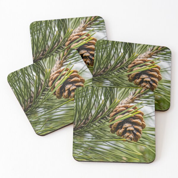 Item preview, Forest Detail — Pine Cone and Needles Up Close designed and sold by Rabee Khalil Photography.