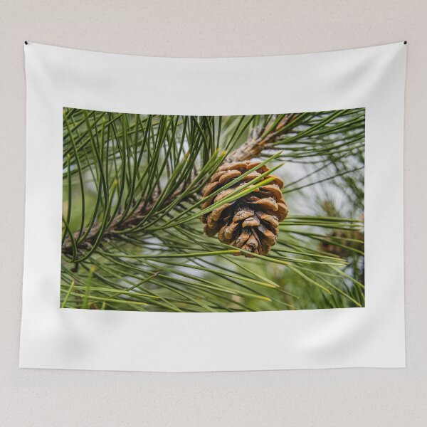 Item preview, Forest Detail — Pine Cone and Needles Up Close designed and sold by Rabee Khalil Photography.