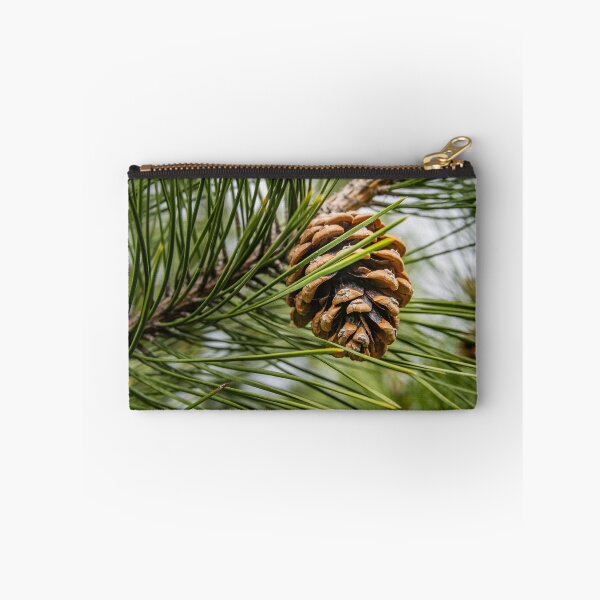Item preview, Forest Detail — Pine Cone and Needles Up Close designed and sold by Rabee Khalil Photography.