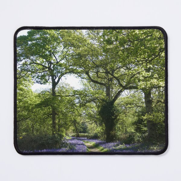 Item preview, Bluebell Woodland designed and sold by Chris Petty.