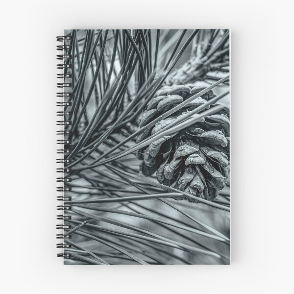 Item preview, Geometry of the Forest — Pine Cone in Black and White designed and sold by Rabee Khalil Photography.