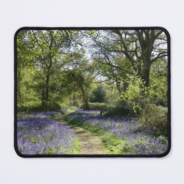 Item preview, Bluebell Woodland designed and sold by Chris Petty.
