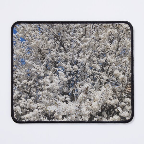 Item preview, Spring Blossom Background designed and sold by inspiration3.