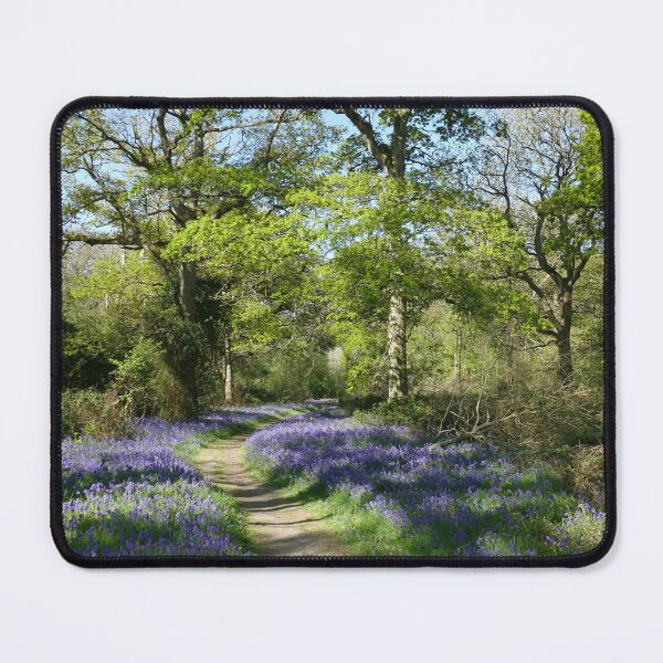 Item preview, Bluebell Woods designed and sold by Chris Petty.