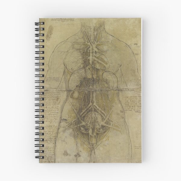 Item preview, The Cardiovascular System and Principal Organs of a Woman by Leonardo da Vinci Anatomical Study Print designed and sold by artofuniverse.