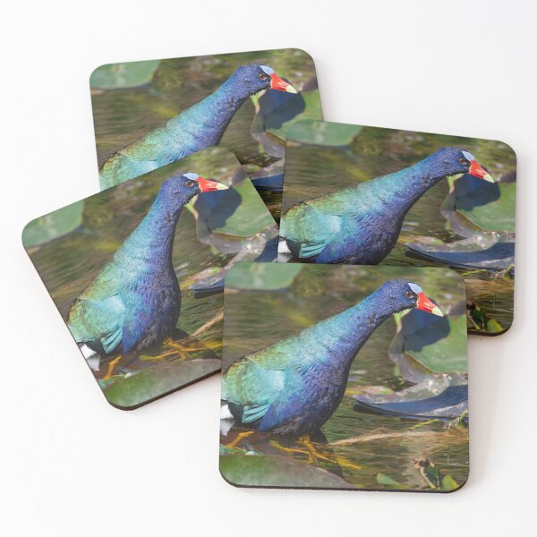 Item preview, Purple Gallinule designed and sold by Gerard Fornarotto.