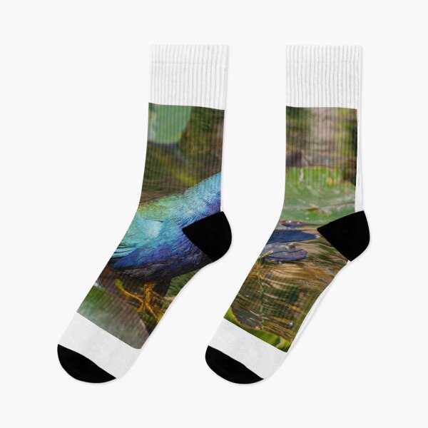 Item preview, Purple Gallinule designed and sold by Gerard Fornarotto.