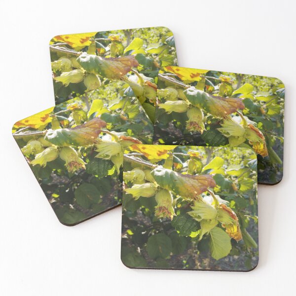 Item preview, Hazelnut Branch Close-Up designed and sold by inspiration3.