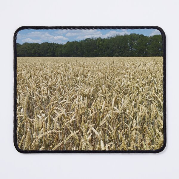 Item preview, Summer Wheat Field Landscape designed and sold by inspiration3.