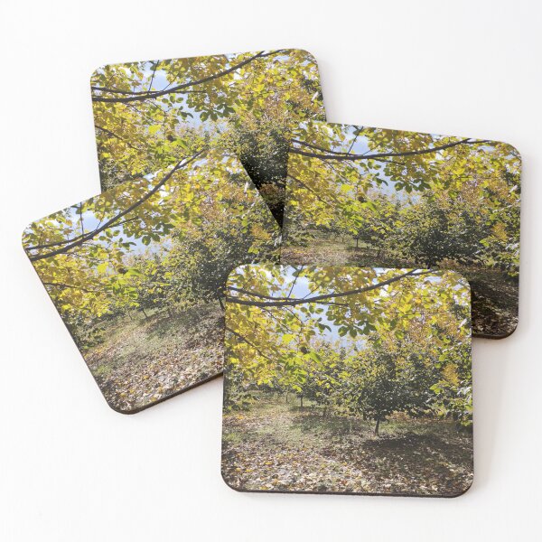 Item preview, Walnut and Hazelnut Garden Landscape designed and sold by inspiration3.
