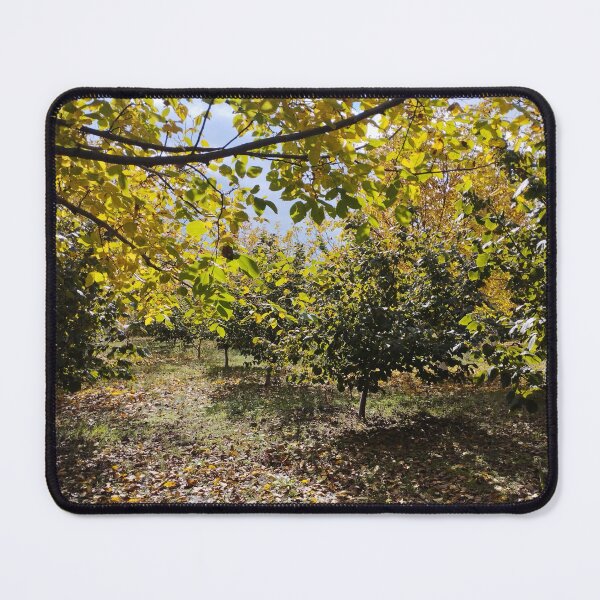 Item preview, Walnut and Hazelnut Garden Landscape designed and sold by inspiration3.