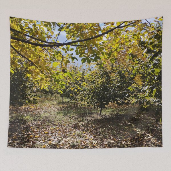 Item preview, Walnut and Hazelnut Garden Landscape designed and sold by inspiration3.