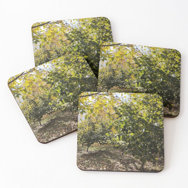 Item preview, Walnut and Hazelnut Garden Landscape designed and sold by inspiration3.