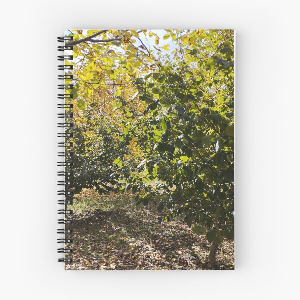 Item preview, Walnut and Hazelnut Garden Landscape designed and sold by inspiration3.