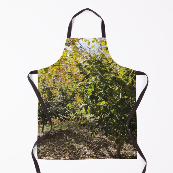 Item preview, Walnut and Hazelnut Garden Landscape designed and sold by inspiration3.