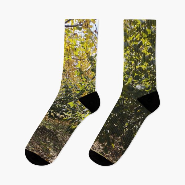 Item preview, Walnut and Hazelnut Garden Landscape designed and sold by inspiration3.