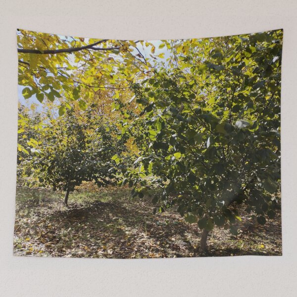 Item preview, Walnut and Hazelnut Garden Landscape designed and sold by inspiration3.