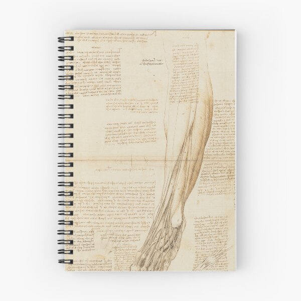 Item preview, The Muscles and Tendons of the Lower Leg and Foot by Leonardo da Vinci Anatomical Drawing Poster designed and sold by artofuniverse.