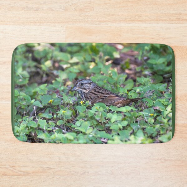 Item preview, Lincoln’s Sparrow Foraging in Lush Ground Cover designed and sold by Debra Martz.