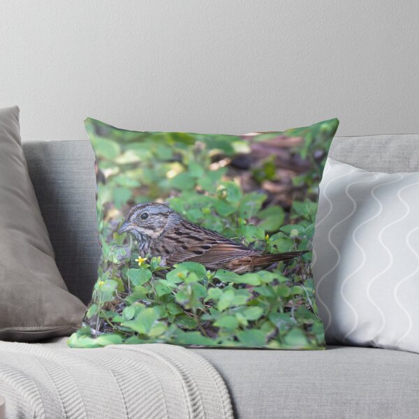 Item preview, Lincoln’s Sparrow Foraging in Lush Ground Cover designed and sold by Debra Martz.