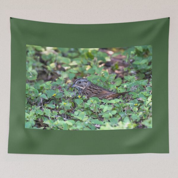 Item preview, Lincoln’s Sparrow Foraging in Lush Ground Cover designed and sold by Debra Martz.
