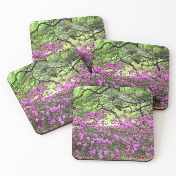 Item preview, Blooming Azaleas in Garden designed and sold by Cynthia48.