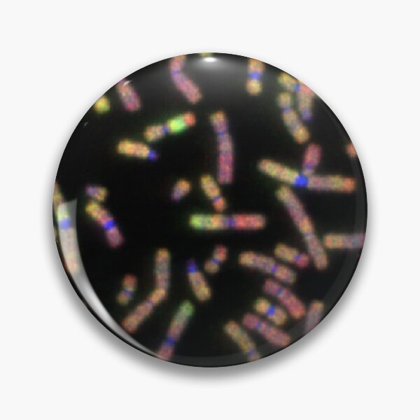 Item preview, A chromosomal spread designed and sold by GenoJam.