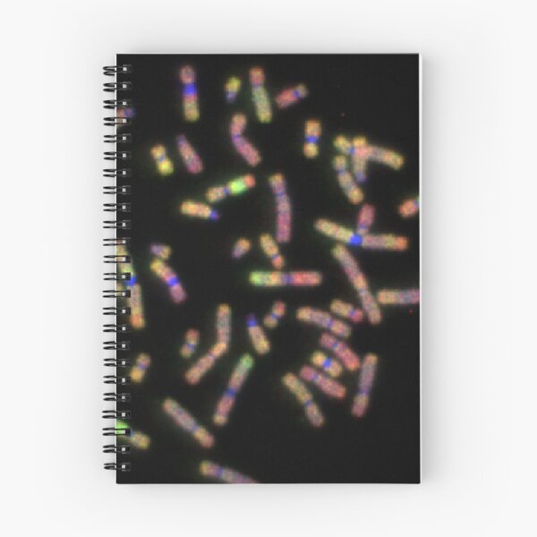 Item preview, A chromosomal spread designed and sold by GenoJam.