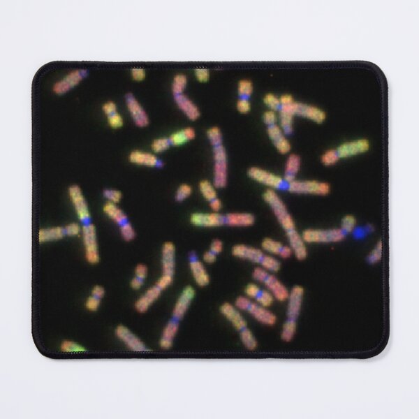 Item preview, A chromosomal spread designed and sold by GenoJam.