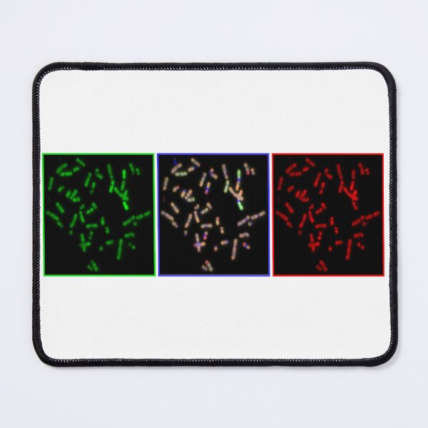 Item preview, Hybridization designed and sold by GenoJam.