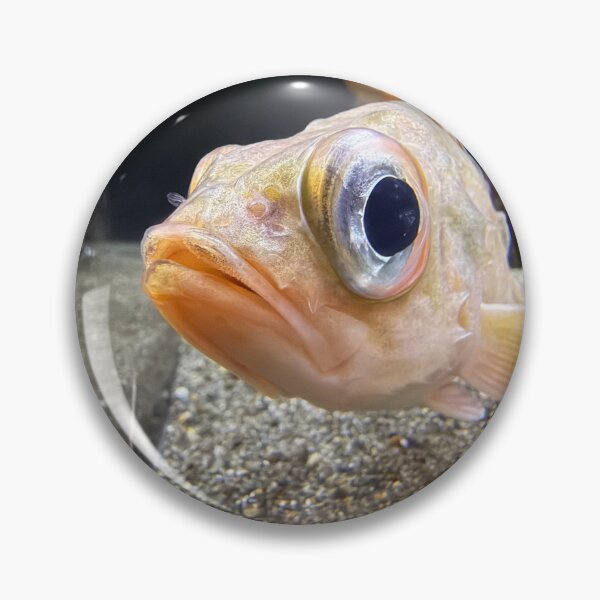 Item preview, Fish made of 90% eyeball designed and sold by BirdieArtDesign.