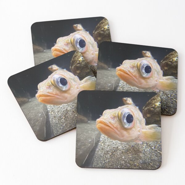Item preview, Fish made of 90% eyeball designed and sold by BirdieArtDesign.