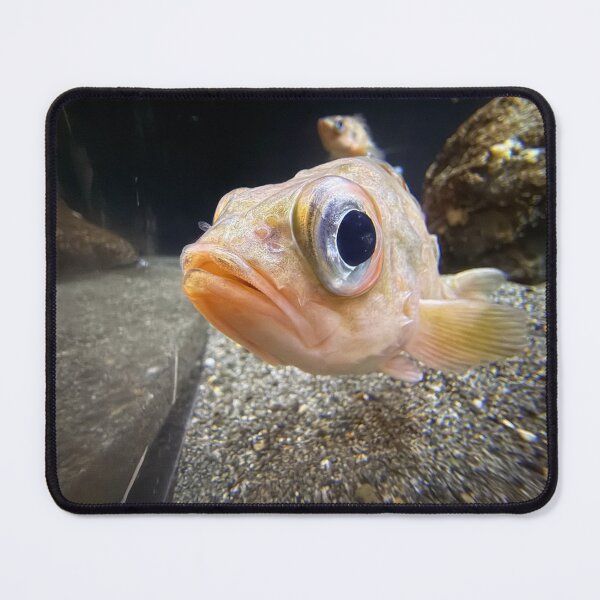 Item preview, Fish made of 90% eyeball designed and sold by BirdieArtDesign.