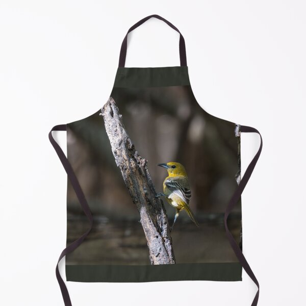Item preview, Hooded Oriole Santa Ana NWR Texas designed and sold by Debra Martz.