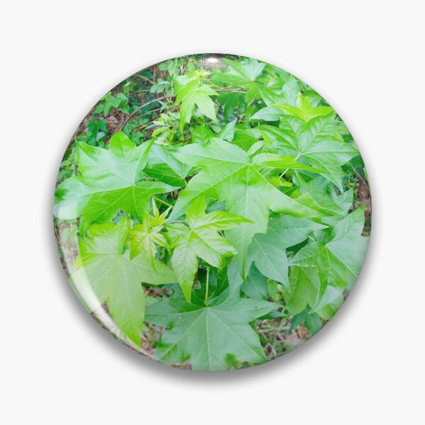 Item preview, Green leaves  designed and sold by BrandensT2026.