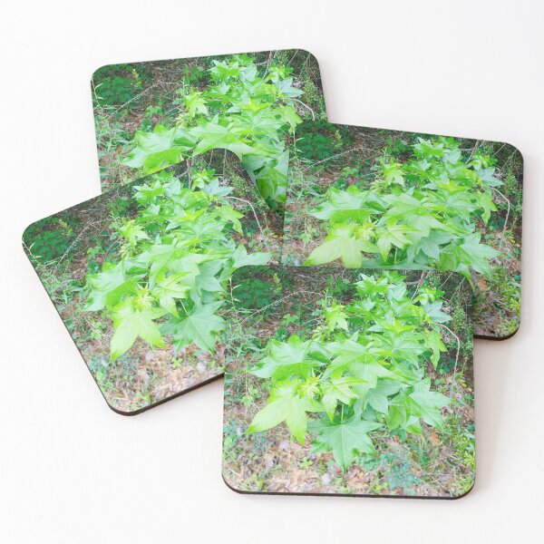 Item preview, Green leaves  designed and sold by BrandensT2026.