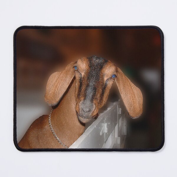 Item preview, Blue Eyed Nubian Goat designed and sold by Wayne King.