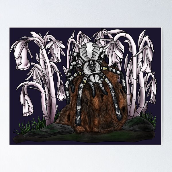 Item preview, Indian Ornamental Tarantula x Ghost Pipes designed and sold by JoyHappySpiders.