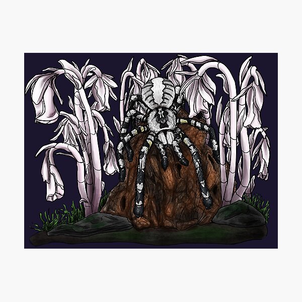 Item preview, Indian Ornamental Tarantula x Ghost Pipes designed and sold by JoyHappySpiders.