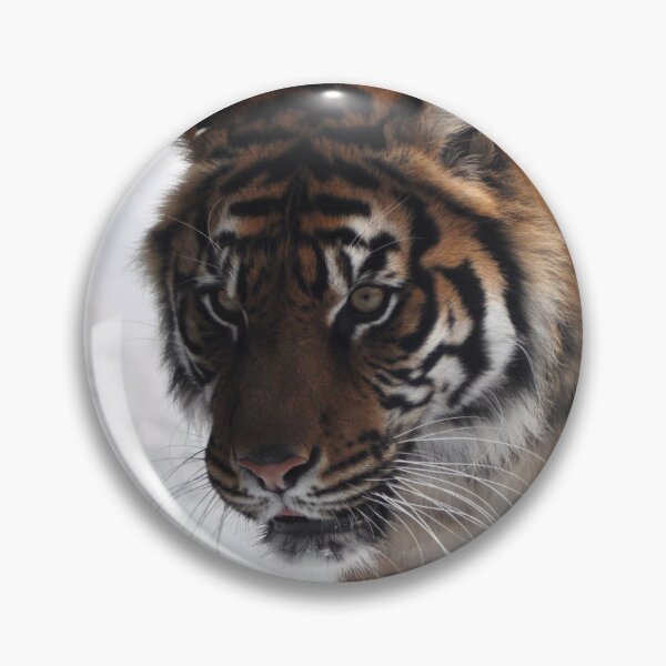 Item preview, Tiger in the snow designed and sold by Skitt1e.