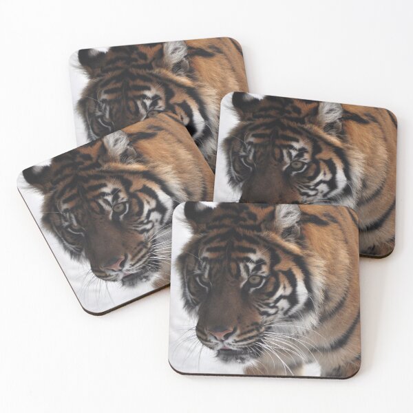Item preview, Tiger in the snow designed and sold by Skitt1e.
