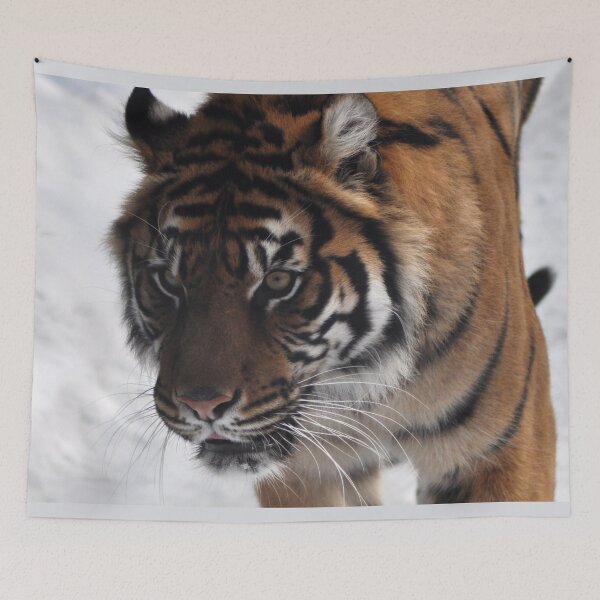 Item preview, Tiger in the snow designed and sold by Skitt1e.
