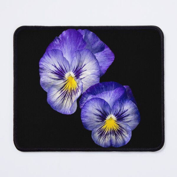Item preview, Purple & Yellow Pansy Pair — Botanical Floral Macro Photography designed and sold by Susarellis.