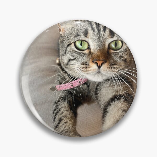 Item preview, Kit Kat Woke Up Like This designed and sold by thegindielady.