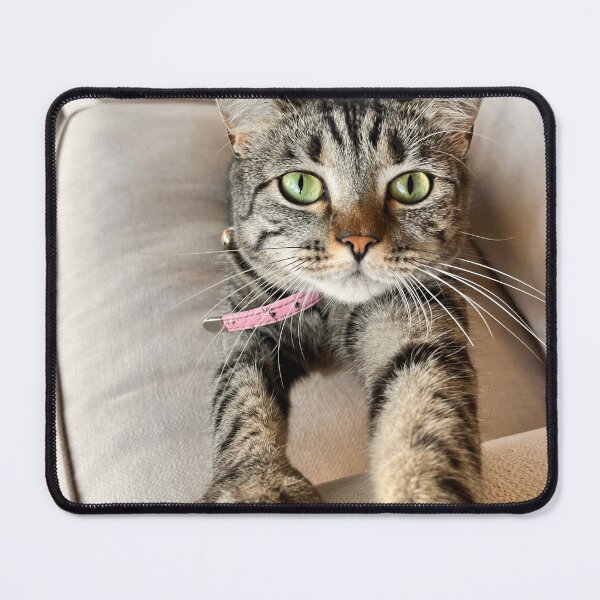 Item preview, Kit Kat Woke Up Like This designed and sold by thegindielady.